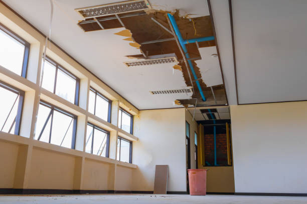 Reliable St Francis, MN Water damage restoration Solutions