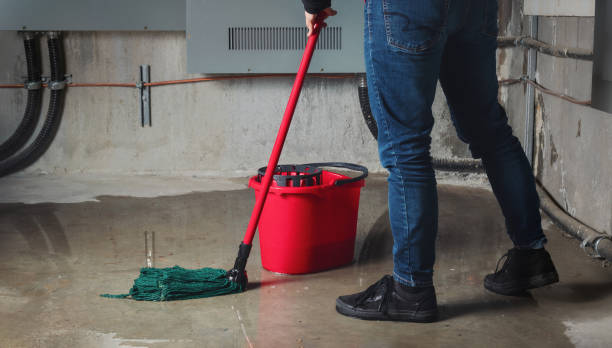 Best 24/7 water damage repair  in St Francis, MN