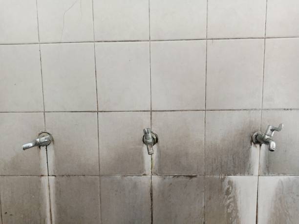 Best Fire Damage Restoration  in St Francis, MN