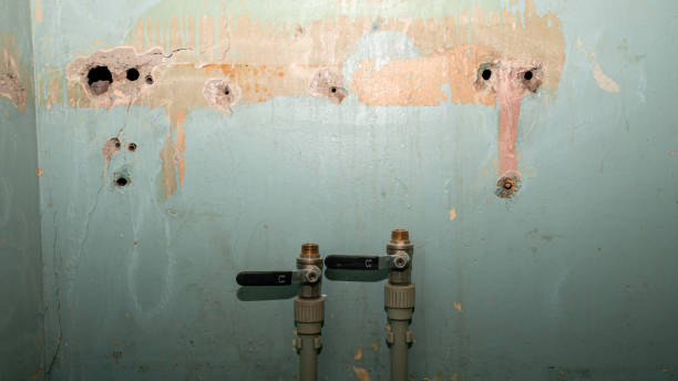 Best Residential water damage restoration  in St Francis, MN